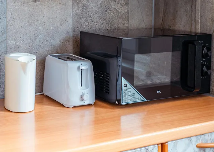 Appartement Modernes In Zentraler Stadtlage Graz